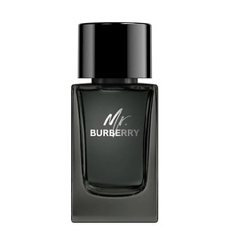 Burberry Mr. Burberry Eau de Parfum 100 ebur38273