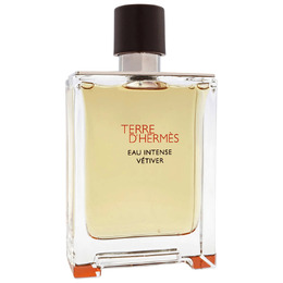 Terre DHermes Eau Intense Vetiver / Hermes EDP Spray 3.3 oz (100 ml) (m) 3346131431434