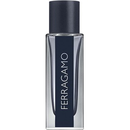 Туалетная вода Salvatore Ferragamo Ferragamo Pour Homme 8052086377950
