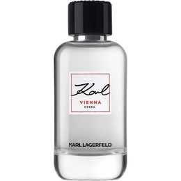 Туалетная вода Karl Lagerfeld Vienna 100 мл 3386460130066