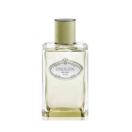 Prada Ladies Infusion de Vetiver EDP Spray 3.4 oz (Tester) Fragrances 8435137743902