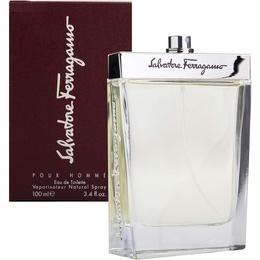 Туалетная вода Salvatore Ferragamo Salvatore Ferragamo Pour Homme 0646875431527
