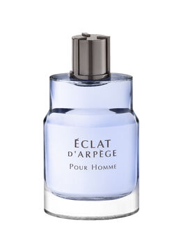Мужская туалетная вода Lanvin Éclat D’Arpège Pour Homme, 100 мл 479007