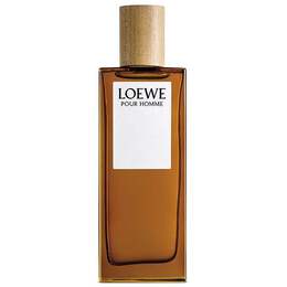 Туалетная вода для мужчин Loewe Pour Homme, 100 мл 1325553523 | 100 ml