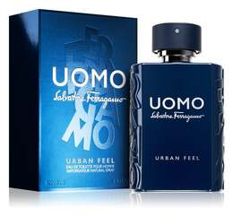 Туалетная вода, 100 мл Salvatore Ferragamo, Uomo Urban Feel 1236563200