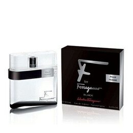 Туалетная вода, 100 мл Salvatore Ferragamo, F by Ferragamo Black 1082620049