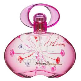Туалетная вода, 100 мл Salvatore Ferragamo, Incanto Bloom 1169900420