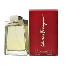 Туалетная вода, 100 мл Salvatore Ferragamo, Pour Homme 1080437241