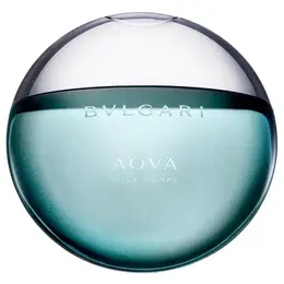Bvlgari туалетная вода Aqva pour Homme, 100 мл, 250 г 100558652077