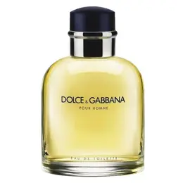 Dolce & Gabbana туалетная вода Dolce&Gabbana pour Homme, 125 мл, 100 г 100570377587
