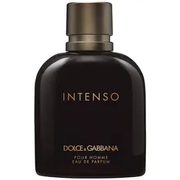 Dolce & Gabbana парфюмерная вода Dolce&Gabbana pour Homme Intenso, 75 мл, 400 г 14248989