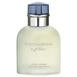 Dolce & Gabbana туалетная вода Light Blue pour Homme, 40 мл, 40 г 14248999
