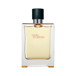 Hermes туалетная вода Terre d'Hermes, 100 мл, 100 г 100697779734