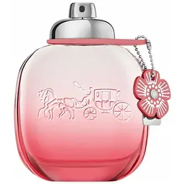 Coach парфюмерная вода Floral Blush, 50 мл, 279 г 100922264732