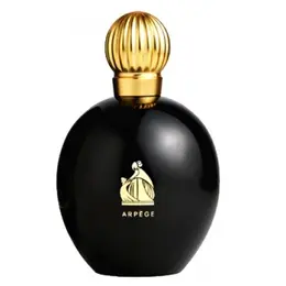 Lanvin парфюмерная вода Arpege pour Femme, 100 мл, 100 г 14274195