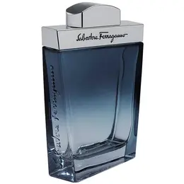 Salvatore Ferragamo туалетная вода Subtil pour Homme, 100 мл, 300 г 101101218113