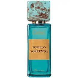 Gritti парфюмерная вода Pomelo Sorrento, 100 мл, 400 г 143458462
