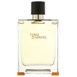 Hermes туалетная вода Terre d'Hermes, 200 мл, 300 г 101165439805
