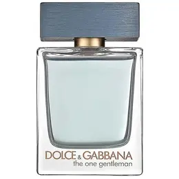 Туалетная вода Dolce & Gabbana The One Gentleman 50 мл Мужская 103747841124