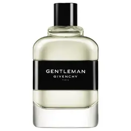 Givenchy туалетная вода Gentleman, 100 мл, 500 г 101168118259