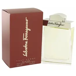 Salvatore Ferragamo туалетная вода Salvatore Ferragamo pour Homme, 100 мл, 300 г 14251636