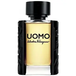 Salvatore Ferragamo туалетная вода Uomo Salvatore Ferragamo, 100 мл, 100 г 14250128