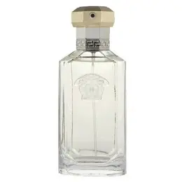 Versace туалетная вода The Dreamer, 50 мл, 250 г 101183051767