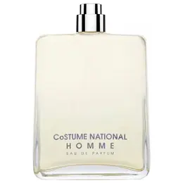 Costume National парфюмерная вода Costume National Homme, 100 мл 14278663