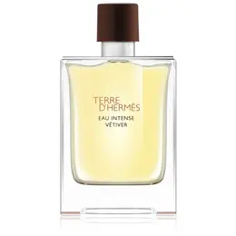 Hermes парфюмерная вода Terre d'Hermes Eau Intense Vetiver, 100 мл, 100 г 101239830301