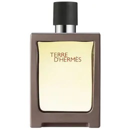 Hermes туалетная вода Terre d'Hermes, 30 мл, 30 г 100939667736