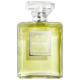 Chanel парфюмерная вода №19 Poudre, 100 мл, 279 г 101241366874