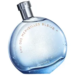 Hermes туалетная вода Eau des Merveilles Bleue, 50 мл, 300 г 101160481457