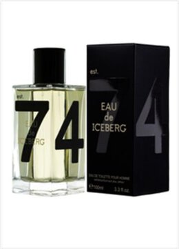 Туалетная вода, 100 мл Iceberg, Eau De Iceberg pour Homme 1045914518