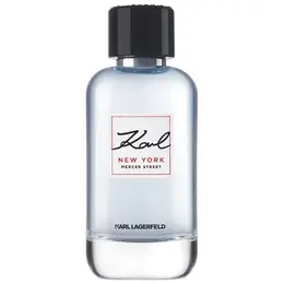 Karl Lagerfeld туалетная вода New York Mercer Street, 100 мл, 300 г 101242148359