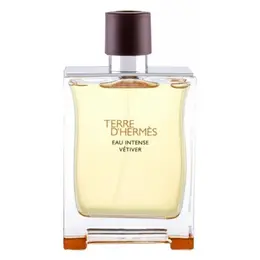 Hermes парфюмерная вода Terre d'Hermes Eau Intense Vetiver, 200 мл, 300 г 101243482166