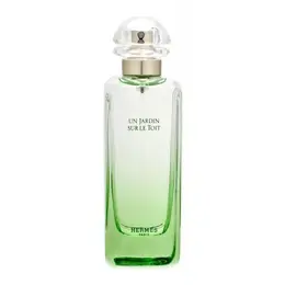 Hermes туалетная вода Un Jardin sur le Toit, 100 мл, 374 г 101164384043
