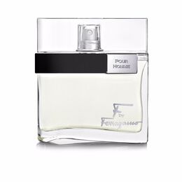 Духи F by ferragamo pour homme Salvatore Ferragamo, 100 мл 24380 | 100 ml