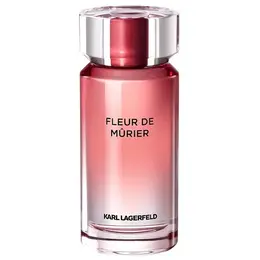 Karl Lagerfeld парфюмерная вода Fleur de Murier, 100 мл, 350 г 100840679741