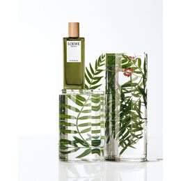 Мужская туалетная вода Esencia Eau de Parfum Loewe, 150 54358 | 150