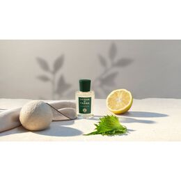 Туалетная вода унисекс Eau de Cologne Colonia C.L.U.B. Acqua Di Parma, 100 61258 | 100