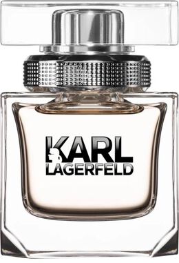 Женская парфюмерная вода Karl Lagerfeld, 45 мл 173893