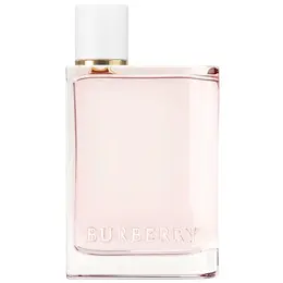Burberry туалетная вода Her Blossom, 100 мл, 400 г 100892168816