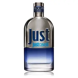 Roberto Cavalli туалетная вода Just Cavalli Him (2013), 90 мл, 90 г 14275667