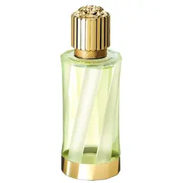 Versace парфюмерная вода Cedrat de Diamante, 100 мл, 300 г 101365572265
