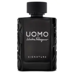 Salvatore Ferragamo туалетная вода Uomo Signature, 100 мл, 500 г 101243506762
