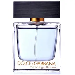 Dolce & Gabbana туалетная вода The One Gentleman, 30 мл, 120 г 14278502