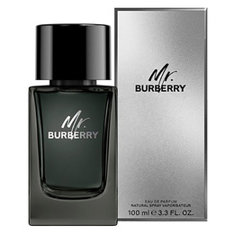 Burberry Mens Mr. Burberry EDP Spray 3.4 oz Fragrances 3616301838210