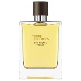 Hermes парфюмерная вода Terre d'Hermes Eau Intense Vetiver, 15 мл, 15 г 101146027802