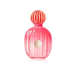 Antonio Banderas Ladies The Icon Splendid EDP Spray 3.4 oz Fragrances 8411061084922