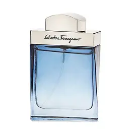 Salvatore Ferragamo туалетная вода Subtil pour Homme, 30 мл, 30 г 101240245898